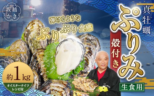 生食用 真牡蠣「ぷりみ」約1kg
