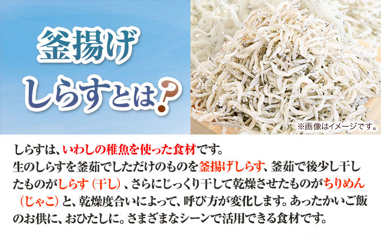 冷凍 釜揚げ しらす 300g 大五海産《60日以内に出荷予定(土日祝除く)》  和歌山県 日高町 釜揚げ しらす かまあげしらす かまあげ シラス 釜揚げシラス 海産物 海鮮 海鮮丼 丼 シラス丼 