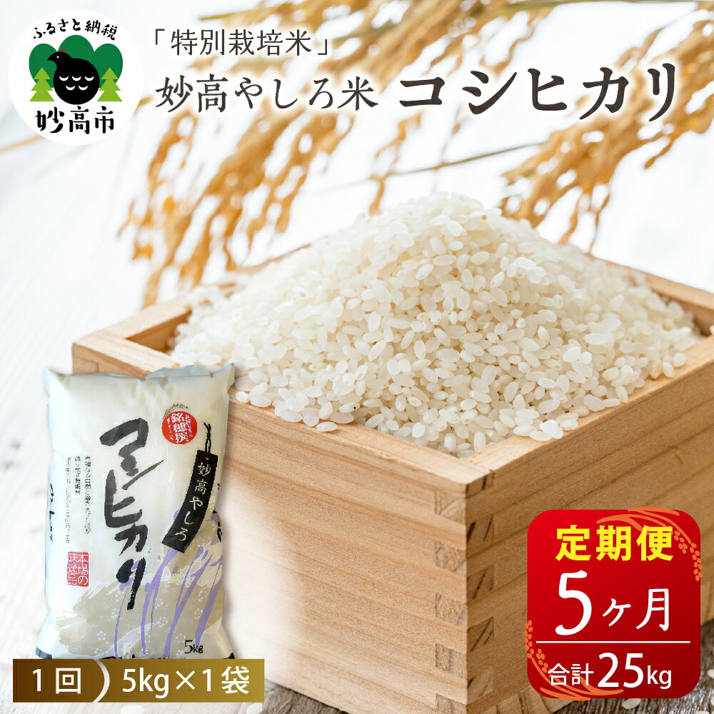 【ふるさと納税】 令和7年産 【5ヵ月定期便】 新潟県 妙高やしろ米 コシヒカリ 25kg ( 5kg × 5回 )【11月中旬より発送】 定期便 お米 米 コメ 精米 米どころ こめ ご飯 ごはん ライス 弁当 2025年産 新潟県 妙高市