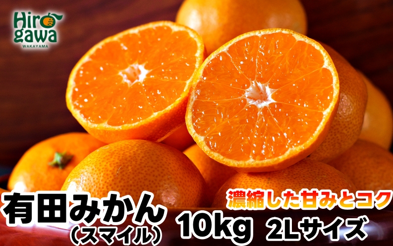 有田 みかん 10kg 秀品 (2Lサイズ) / 温州みかん 有田みかん 甘い 和歌山 柑橘 ※11月下旬～1月中旬に順次発送 【sml004-r-10-2lA】