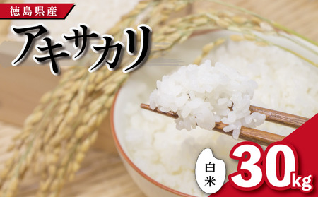 米 白米 30kg アキサカリ 令和7年度産 米 米 米