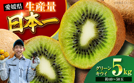 【先行予約】【11月中旬より順次配送】 グリーンキウイ 5kg （約40から50玉）果物 キウイフルーツ キウイ フルーツ