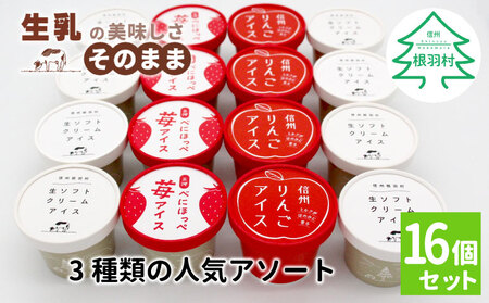 予約品★3種類の人気アソート 16個入り 80ml 100ml 生乳 アイスクリーム りんご 苺 いちご 根羽村 10000円