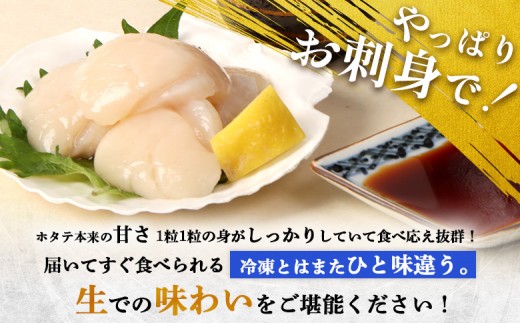 【関東限定！生ほたて】《期間限定》北海道雄武産 生玉ほたて1kg 500g×2塩水パック（冷蔵）