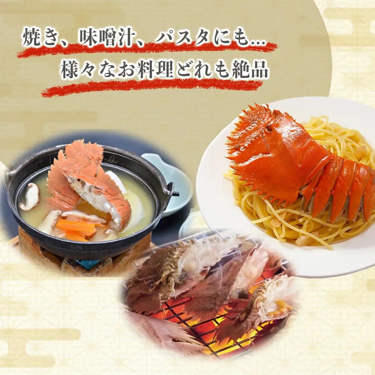 ＜数量限定＞ウチワエビ（ボイル）7匹前後 500gセット【S246】