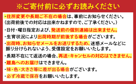【2026年発送分 先行予約】佐賀県ハウスみかん約1.8kg / みかん 蜜柑 果物 フルーツ 柑橘 唐津 九州 / リフルット株式会社 [41ABAA024]