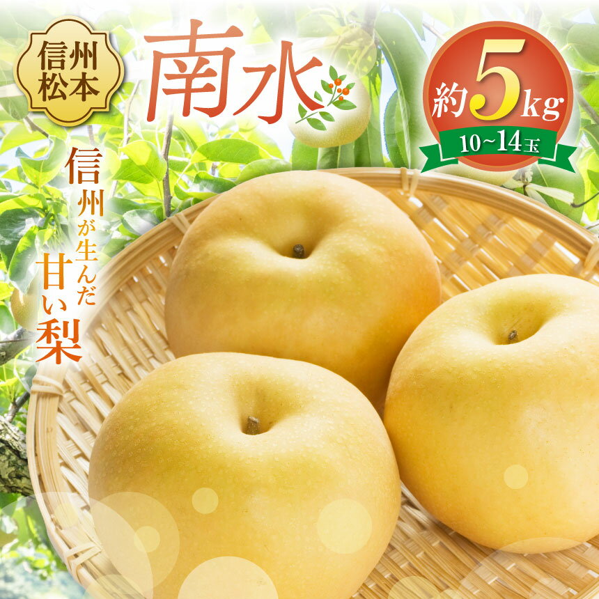 【ふるさと納税】【先行受付：2026年発送】南水 10～14玉 （約5kg）｜ふるさと納税 長野県 松本市 豊水 梨 甘い ジューシー フルーツ 大人気