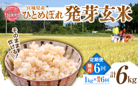 [発芽玄米] 宮城県産ひとめぼれ発芽玄米1kg×隔月6回定期便 菅原商店