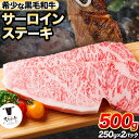 【ふるさと納税】熊野牛 紀の川天空和牛 サーロインステーキ約500g(約250g × 2枚) 有限会社松牛 《30日以内に出荷予定(土日祝除く)》サーロインステーキ 黒毛和牛 牛 牛肉 牛肉ステーキ ステーキ 和歌山県 紀の川市