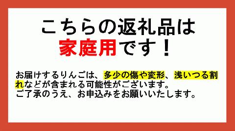 りんご 農家応援企画 サンふじ 家庭用 10kg （ 小玉 ） ※沖縄および離島への配送不可 長野県 飯綱町 [0957]