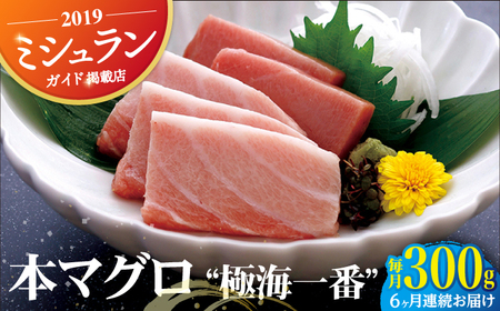 【6回定期便】本マグロ極海一番計1.8kg約300g×6回【囲炉裏料理　エビス亭】[KAC136]/ 長崎 平戸 魚介類 魚 刺身 マグロ 赤身 中トロ 大トロ 本マグロ 柵 ブロック