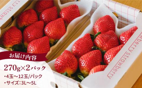 【予約：2024年1月上旬より順次発送】完熟あまおう 270g × 2パック 糸島市 / slowberry strawberry [APJ002] あまおう 苺