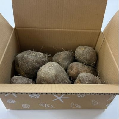 
            徳之島　伊仙町産　まぁるい山芋「ぱり玉」2キロ【1405766】
          