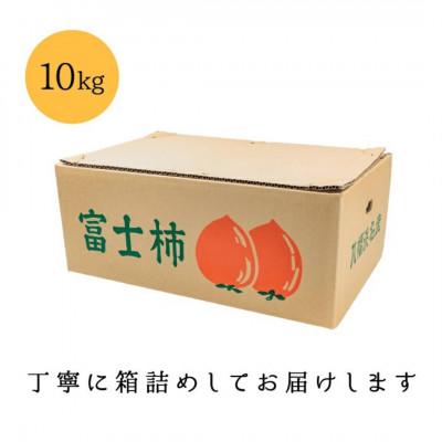 ふるさと納税 八幡浜市 《八幡浜特産 国内最大級の 柿》 富士柿 10kg【D20-2】 |  | 03