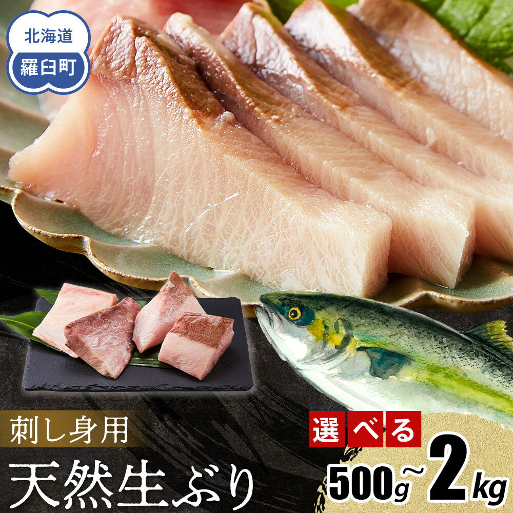 【ふるさと納税】【選べる容量と配送月】北海道 知床羅臼産 天然ぶり刺身魚 海産物 魚介 魚介類 海鮮 新鮮 活〆 食べ応え 肉厚 真空パック 鰤丼 照り焼き ブリ 鰤 刺身 ご飯のお供 冷凍