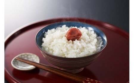 先行予約【令和8年産新米・10ヶ月定期便】 ゆうだい21 無洗米 4kg（2kg×2袋）×10回（計 40kg）中村農研 [Y0543]