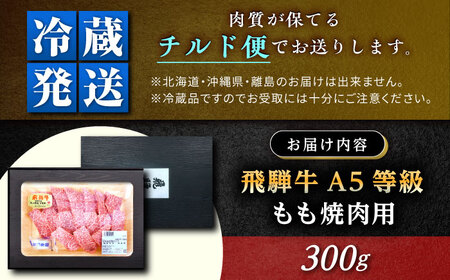 【チルド（冷蔵）発送！】 「飛騨牛」 A5等級 もも 300g / 牛肉 焼肉 鉄板焼き 網焼き BBQ / 恵那市 / 東美濃農業協同組合[AUFX004]