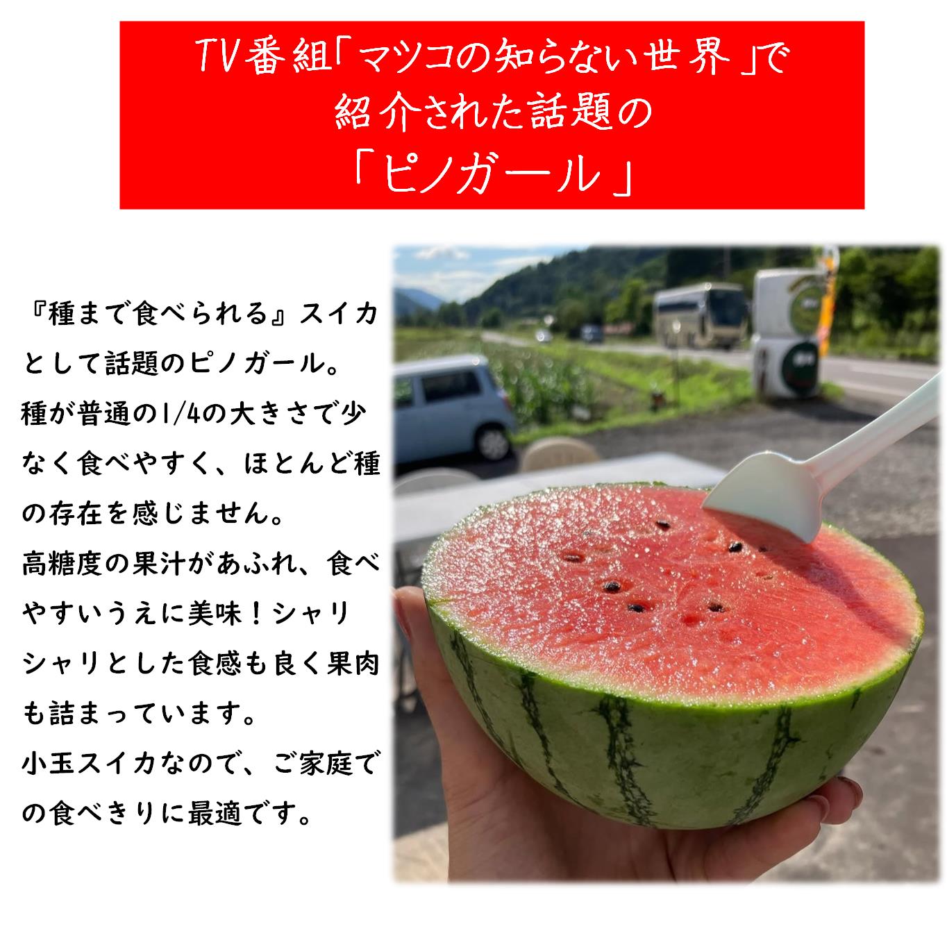 ＜2025年8月上旬より順次お届け＞北海道壮瞥産 小玉すいか（赤肉・ピノガール）2玉約3kg スイカ　 SBTN004