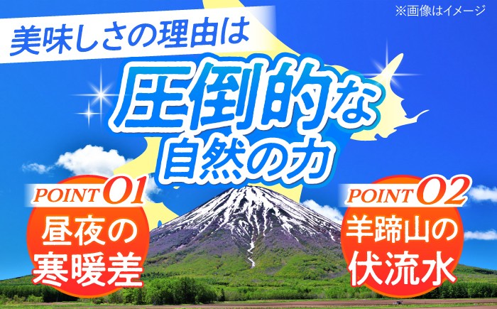 【8月下旬以降順次発送】 白と黄色のとうもろこし 各5kg