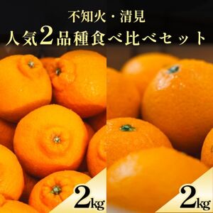 不知火+清見 愛媛人気2品種食べ比べ【各2kg】【D70-133】【1684456】