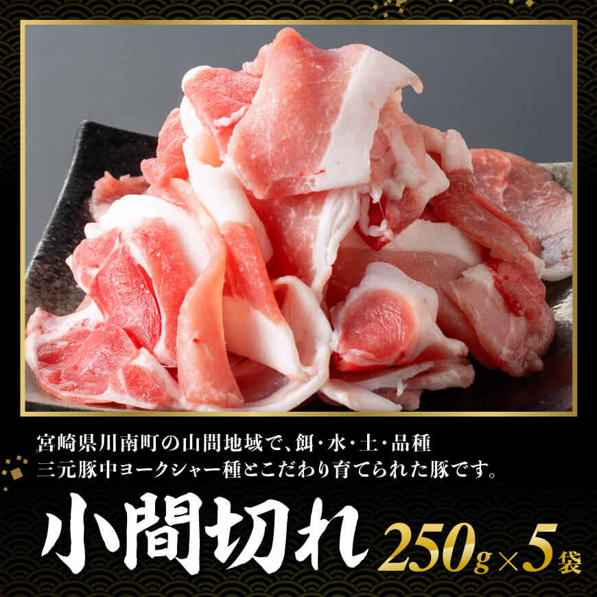 【12ヶ月定期便】宮崎県産豚肉　放牧豚パラパラ小間切れ1.25kg（250g×5袋）【 豚肉 豚 肉 小間切れ 細切れ 炒め物 】