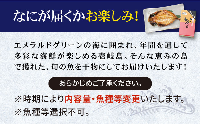 【全3回定期便】旬の海産物 干物詰め合わせ Cセット 《壱岐市》【マルミ海産物】[JCY012] 60000 60000円 6万円 干物 ひもの アジ イワシ イカ みりん干し タイ