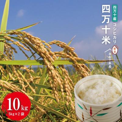 ふるさと納税 四万十市 【令和7年産】四万十産 四万十米(コシヒカリ)10kg(5kg×2袋)