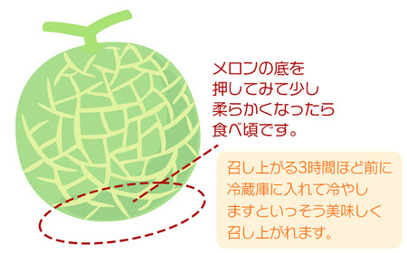 【令和8年産先行予約】 庄内砂丘赤肉メロン 秀品 大玉 約5kg (3～4玉) 山形県鶴岡市産　株式会社 元青果