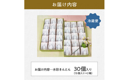 御菓子処信玄堂 「栗きんとん使用」水彩きんとん30個（15個入×2箱） F4N-2870