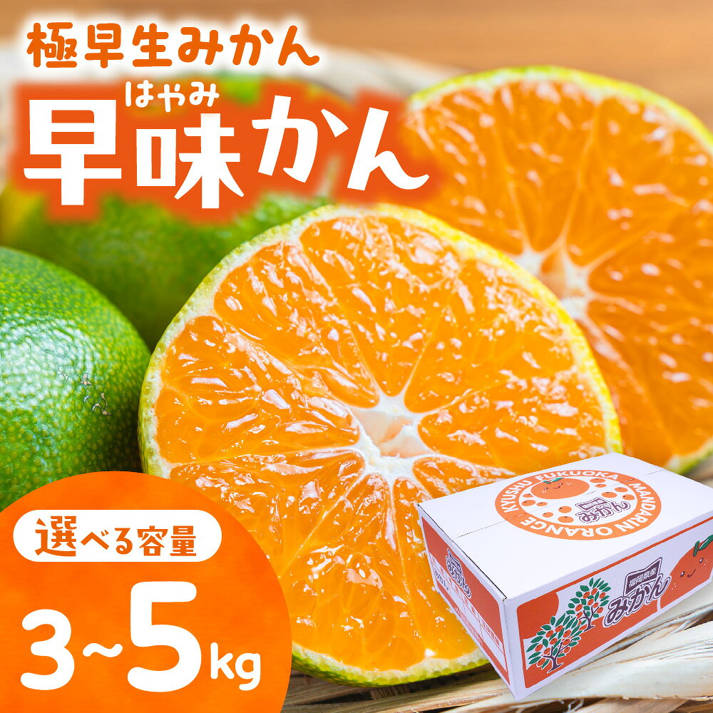 【ふるさと納税】福岡県ブランド 極早生みかん「早味かん」【JAほたるの里】 3kg 5kg 早生 極早生 青みかん ミカン 柑橘 宗像 福岡