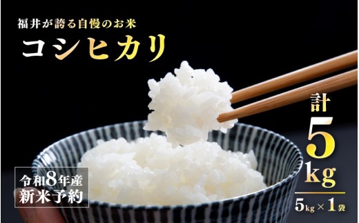 【先行予約】【2026年11月以降順次発送予定】令和8年産 新米 コシヒカリ 5kg [A-10107] /  コメ 米 お米 精米 ご飯 ごはん こしひかり 米農家 福井県産 福井県鯖江市