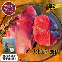 【ふるさと納税】ジビエ 鹿肉 モモ 肉 岩手県大槌町（200g ＆ 冊子）大槌ジビエ 大槌鹿 鹿 肉 国産 赤身 ヘルシー 塊肉 ブロック ロースト ステーキ 焼肉 煮込み料理 竜田揚げ 冷凍 送料無料 MOMIJI 岩手県 いわて iwate 三陸 大槌