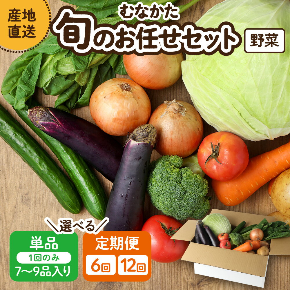 【ふるさと納税】【レビューCP対象】【1回お届け／定期便】むなかた旬のお任せセット ( 野菜 ) 7〜9品【JAほたるの里】_HA1569 送料無料 お野菜 野菜 旬 セット 詰め合わせ お楽しみ 季節 新鮮 産直 福岡県 宗像市