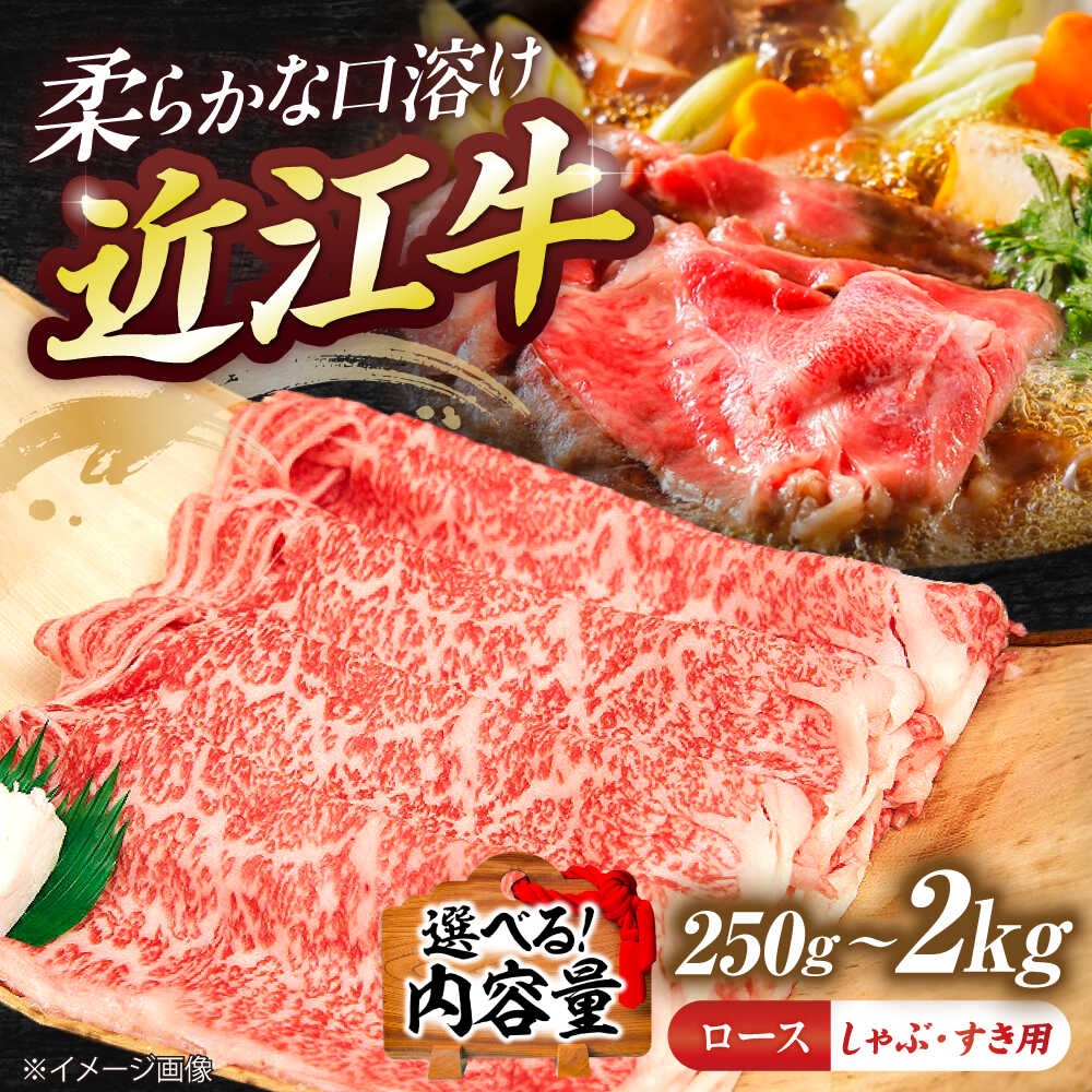 【ふるさと納税】【選べる容量】近江牛ロース（すき・しゃぶ）250g~2kg / 牛肉 すき焼き 近江牛肉 すきやき 肉 赤身 霜降り 鍋 ロース 黒毛和牛 和牛 牛 国産牛 ブランド牛 グルメ すきやき肉 しゃぶしゃぶ リブロース サーロイン 滋賀県 / 栗東市 / 有限会社 岡山[BIBE077]