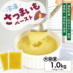 冷凍さつまいもペースト1.0kg(500g×2袋) 山形県遊佐産 冷凍便 ※離島発送不可 冷凍 さつまいも さつま芋 サツマイモ 野菜 野菜ペースト 離乳食 介護食 お菓子作り 小分け ゆざ食彩工房 遊佐町 庄内 東北 [1433SA1000G]
