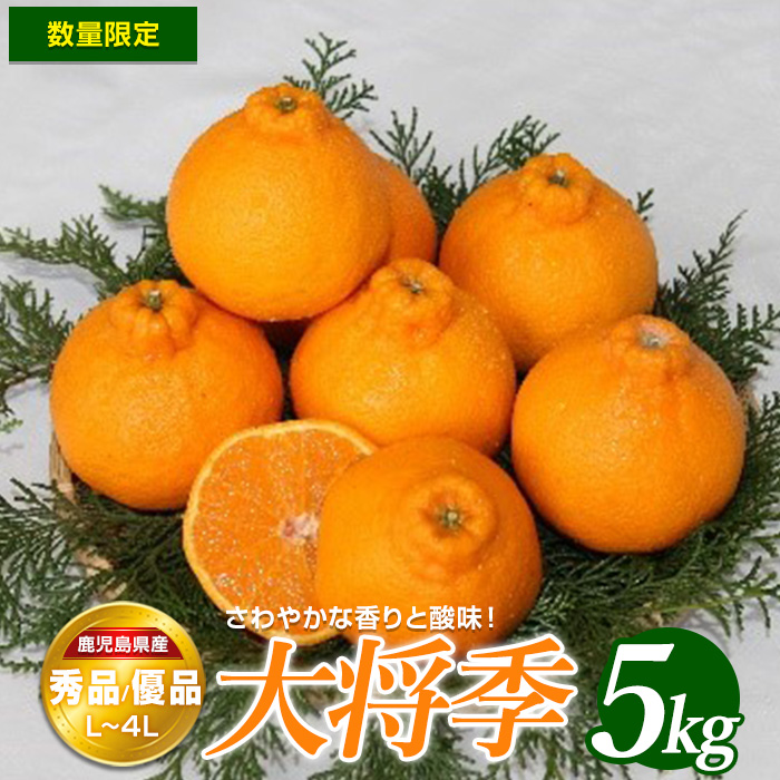 ＜期間・数量限定＞大将季(5kg)国産 鹿児島県産 長島町 フルーツ 柑橘 みかん 大将季 柑橘【鹿児島いずみ農業協同組合】_ja-7105