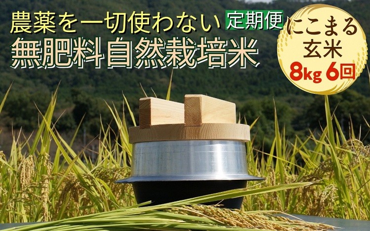 
                  新米 令和8年産 米 自然栽培米 にこまる 玄米 8kg × 6回 48kg＜農薬を一切使わない無肥料栽培＞ 京都丹波産 無農薬米栽培向き 厳選品種 ※2026年10月～発送
                