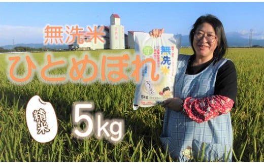 【令和6年産・精米】小野寺農園の【無洗米】ひとめぼれ5kg