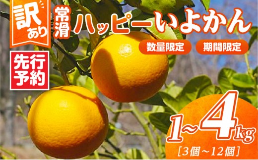 
                  【先行予約】【訳あり】常滑ハッピーいよかん【選べる容量】1kg～4kg｜果物 フルーツ 柑橘 伊予柑 イヨカン みかん 訳あり ご家庭用 数量限定 愛知県 常滑市 知多半島
                