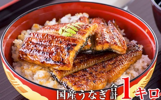 国産うなぎ蒲焼きカット1kgセット (A59-2)