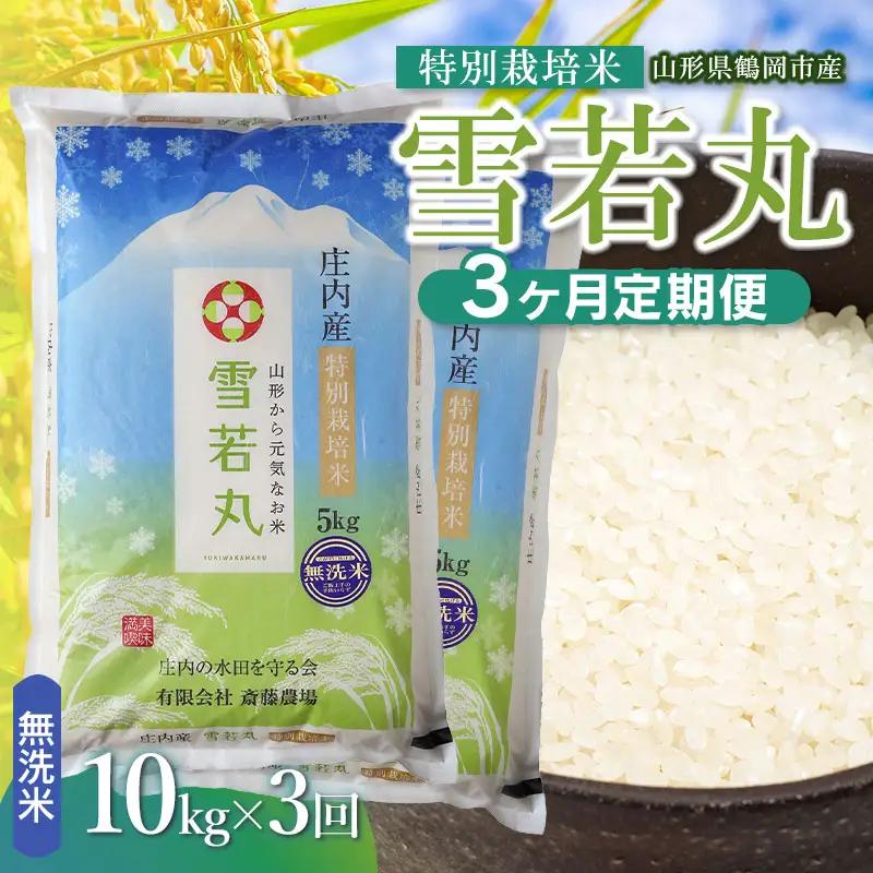 【令和8年産 新米】【定期便3ヵ月】特別栽培米 雪若丸 無洗米 10kg(5kg×2袋) 山形県鶴岡市 K-881 斎藤農場