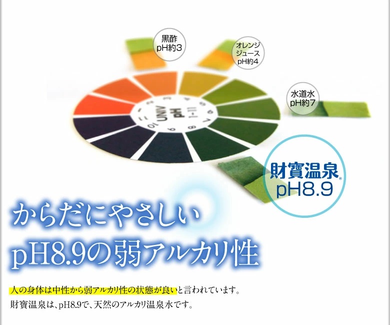C3-22133／【3回定期】天然アルカリ温泉水　財寶温泉　2L×12本