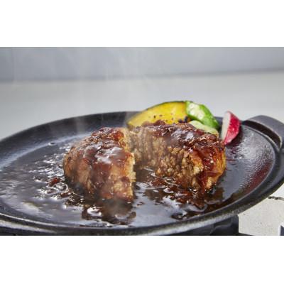 ふるさと納税 宮津市 【天橋立ハム】京ふんわりハンバーグ2種計6個セット
