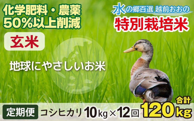 
                  【令和7年産】【12ヶ月定期便】こしひかり 10kg × 12回 計 120kg【玄米】減農薬・減化学肥料 「特別栽培米」－地球にやさしいお米－
                