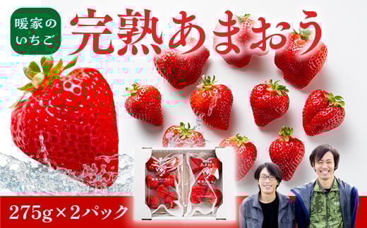 暖家のいちご 完熟あまおう 275g×2パック【2月上旬以降順次発送】AB005