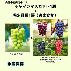 【2025年 先行予約】【希少品種・お楽しみセット】【甘みが増す完熟 氷蔵保存】シャインマスカット１房と旬の完熟１房詰め合わせ | シャイン ぶどう 葡萄 くだもの 果物 フルーツ マスカット マイハート クイーンルージュ® BKシードレス 富士の輝き 先行 先行予約 氷蔵保存 希少 長野県 塩尻市