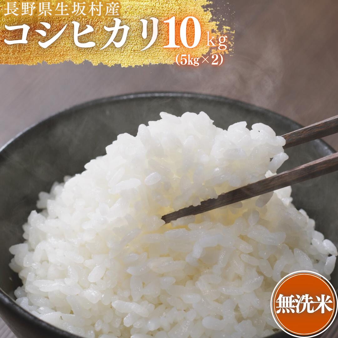 【ふるさと納税】【2026年米 先行予約】米 コシヒカリ 無洗米 10kg (5kg×2袋) 長野県産 生坂村産 コメ おこめ お米 こしひかり 白米 高地栽培 冷めてもモチモチ | 信州 長野県 生坂村 [株式会社野の香]
