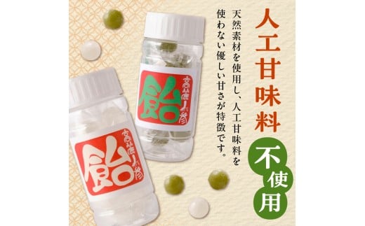 【人工甘味料不使用】高麗人参飴Aセット