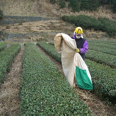 ふるさと納税 島田市 茶草場農法実践者の有機深むし煎茶100g×19本 |  | 02