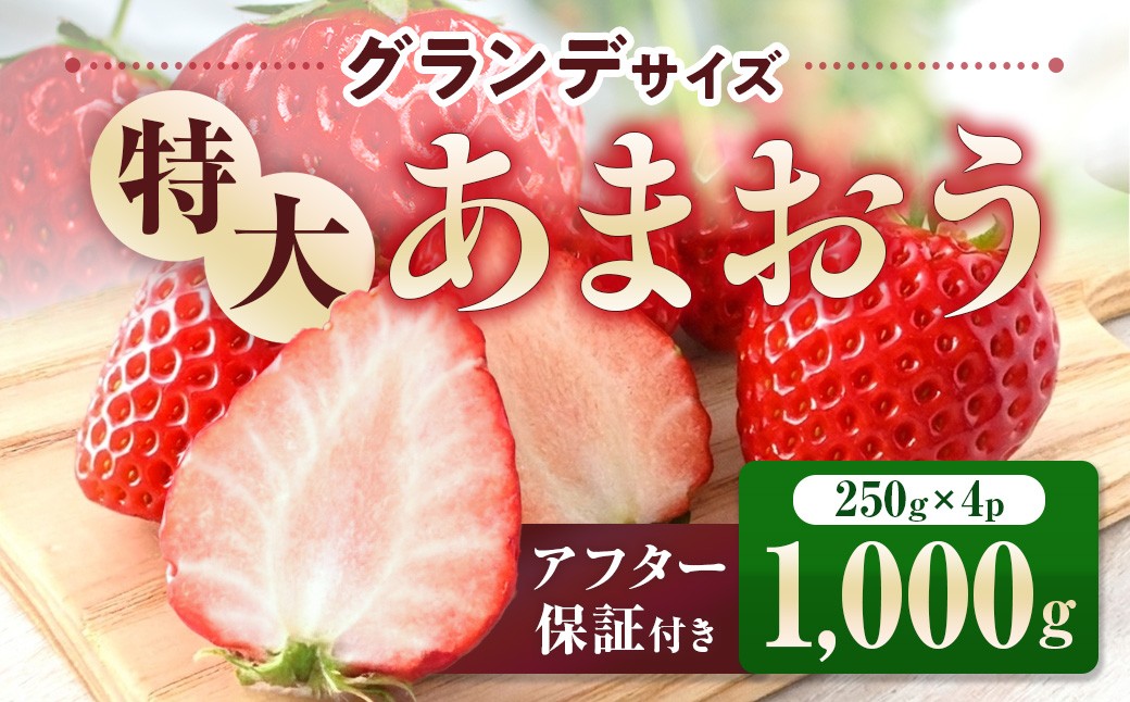 
                  福岡県産 あまおう 1000g　先行予約 2027年1月～3月末にかけて順次発送　BA006-3
                